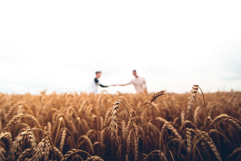 Agricultural farming in Nigeria